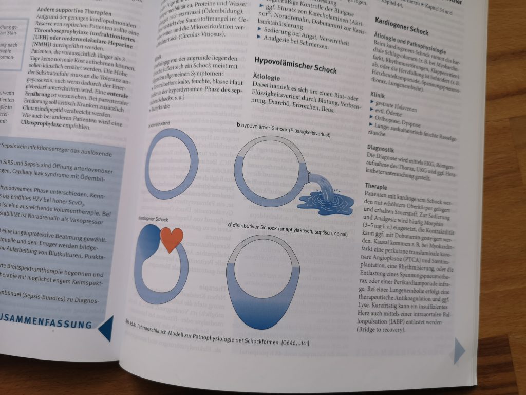 BASICS Anästhesie, Intensivmedizin und Schmerztherapie - Rezension 2 Basics Anästhesie, Intensivmedizin und Schmerztherapie