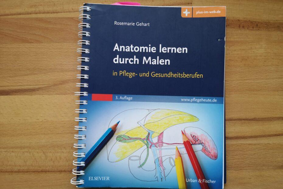 Anatomie lernen durch Malen von Elsevier