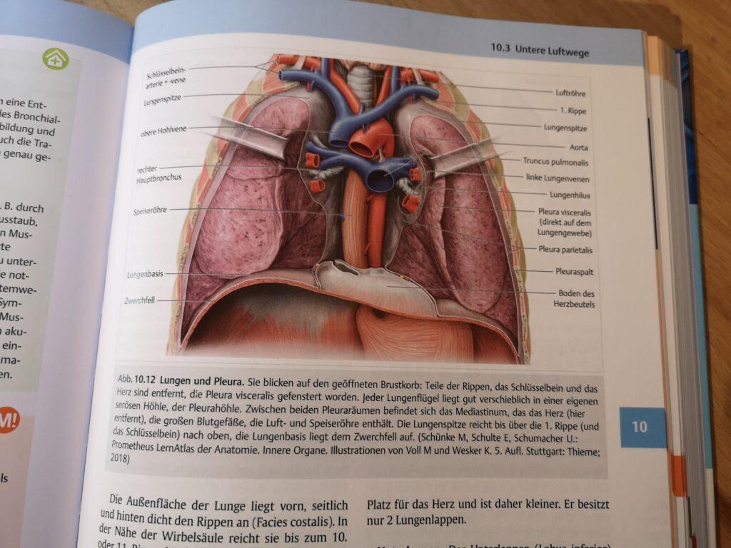 Der Mensch - Anatomie und Physiologie aus dem Thieme Verlag