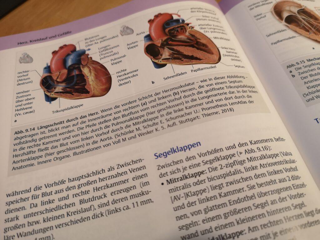 Der Mensch - Anatomie und Physiologie aus dem Thieme Verlag