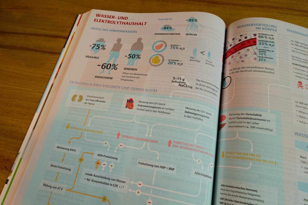 Infografiken von Thieme retten