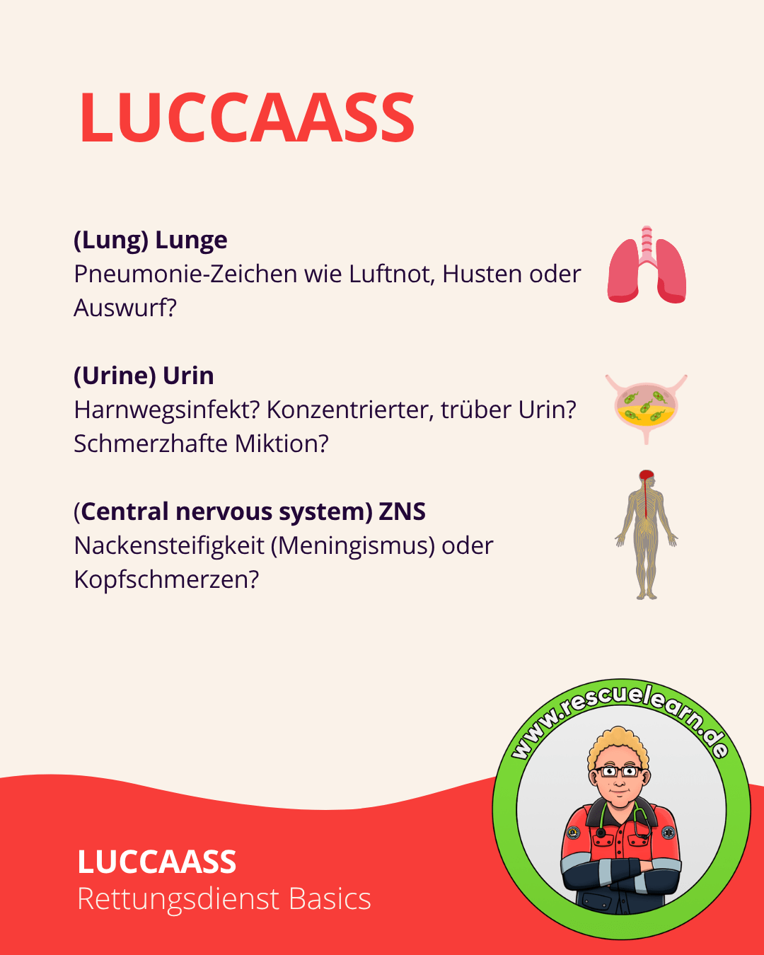 LUCCAASS